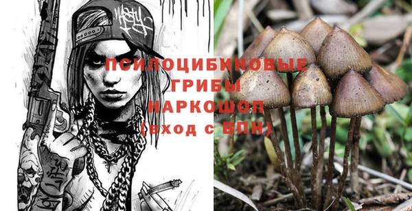 прущие крисы Белокуриха