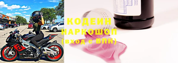 ПСИЛОЦИБИНОВЫЕ ГРИБЫ Богданович