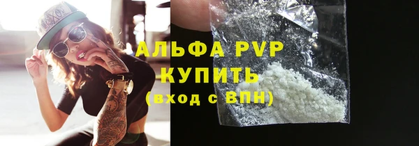 ПСИЛОЦИБИНОВЫЕ ГРИБЫ Богданович