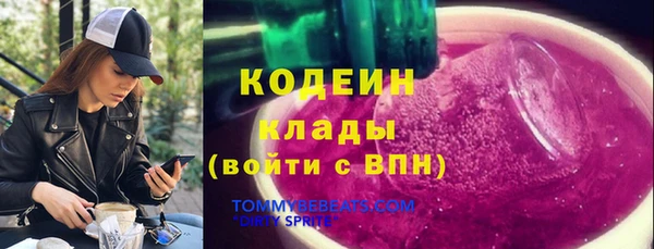ПСИЛОЦИБИНОВЫЕ ГРИБЫ Богданович